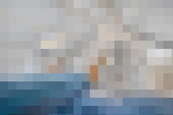 Meidoornlaan 4 Dalfsen thumbnail 41