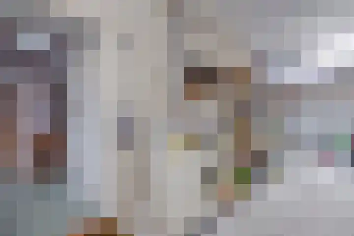 Meidoornlaan 4 Dalfsen thumbnail 48