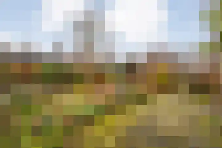 Meidoornlaan 4 Dalfsen thumbnail 49