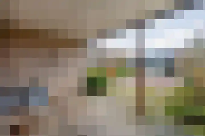 Meidoornlaan 4 Dalfsen thumbnail 5