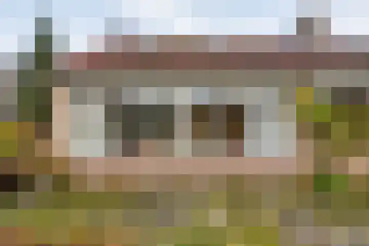 Meidoornlaan 4 Dalfsen thumbnail 50