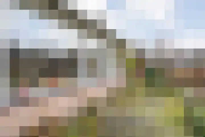 Meidoornlaan 4 Dalfsen thumbnail 51