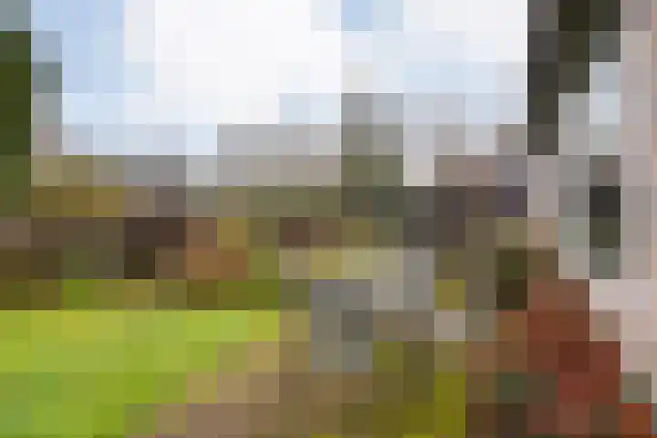 Meidoornlaan 4 Dalfsen thumbnail 52