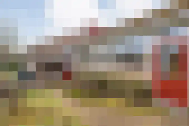 Meidoornlaan 4 Dalfsen thumbnail 53