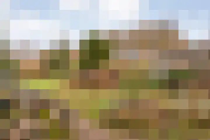 Meidoornlaan 4 Dalfsen thumbnail 54