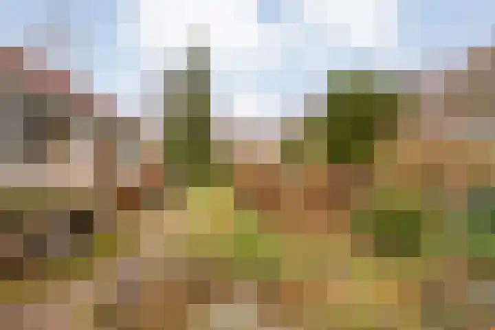Meidoornlaan 4 Dalfsen thumbnail 55