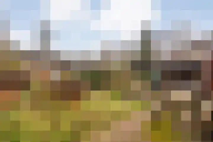 Meidoornlaan 4 Dalfsen thumbnail 56