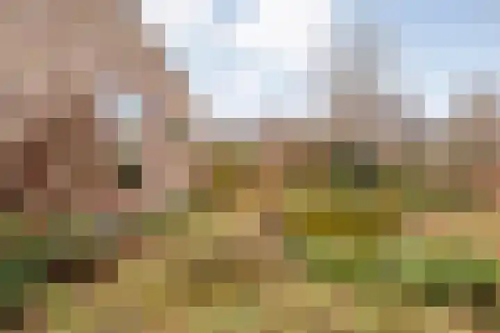 Meidoornlaan 4 Dalfsen thumbnail 57