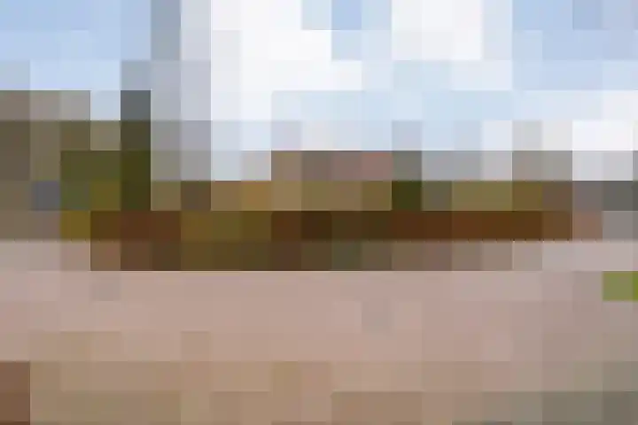 Meidoornlaan 4 Dalfsen thumbnail 58
