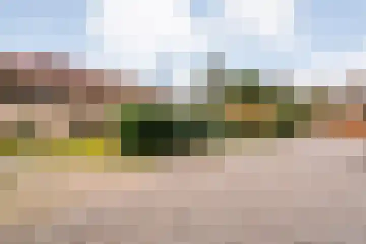 Meidoornlaan 4 Dalfsen thumbnail 59