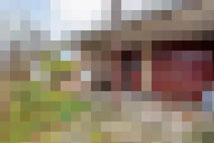 Meidoornlaan 4 Dalfsen thumbnail 6
