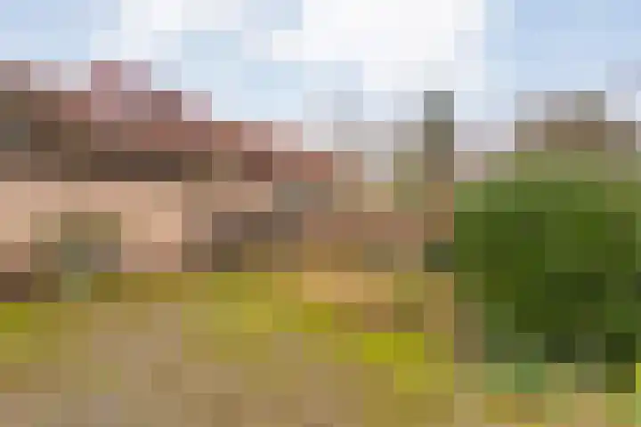 Meidoornlaan 4 Dalfsen thumbnail 60