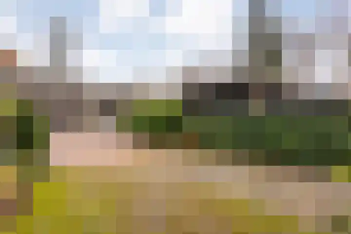 Meidoornlaan 4 Dalfsen thumbnail 61