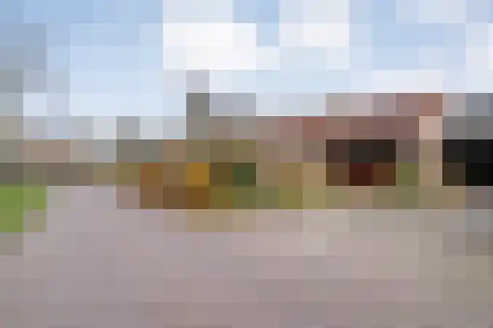 Meidoornlaan 4 Dalfsen thumbnail 62