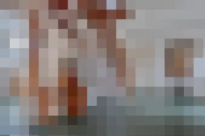Meidoornlaan 4 Dalfsen thumbnail 9