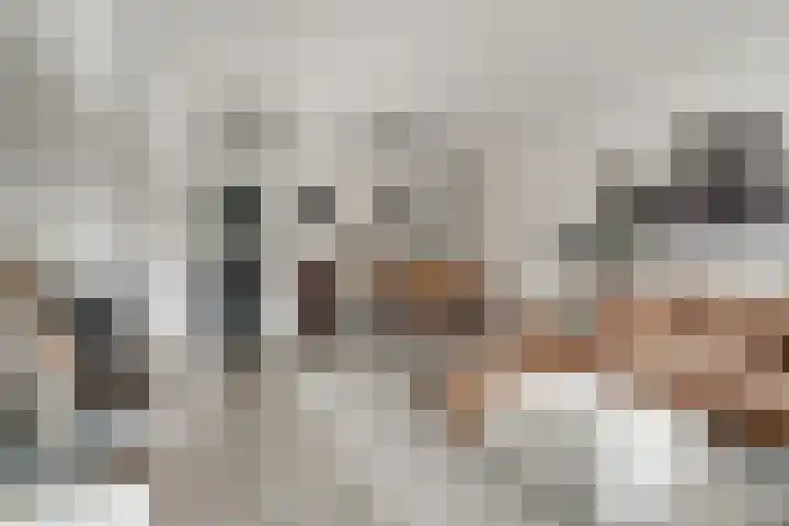 Meidoornlaan 4 Duiven thumbnail 11
