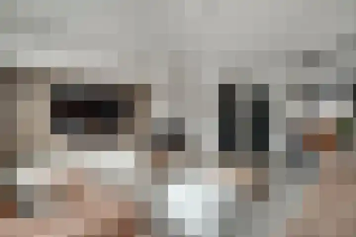 Meidoornlaan 4 Duiven thumbnail 15