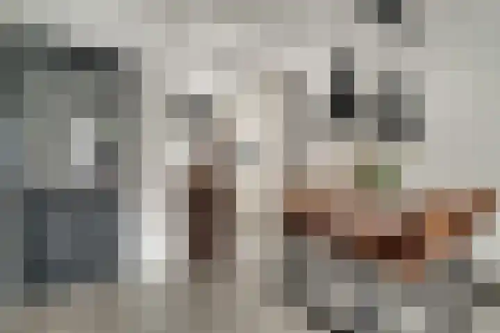 Meidoornlaan 4 Duiven thumbnail 16