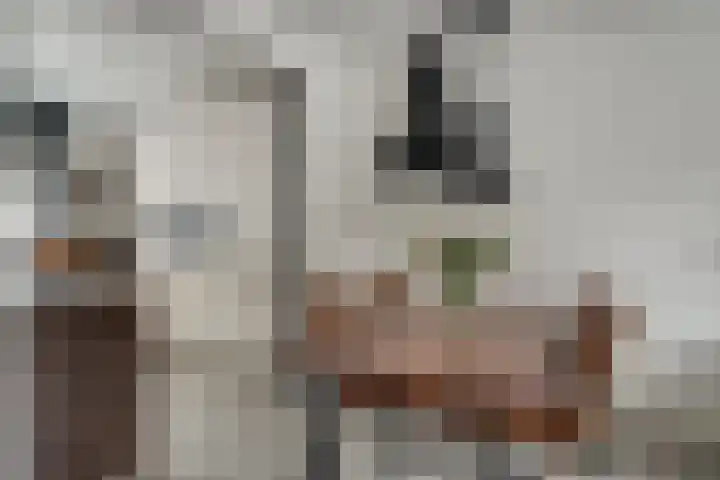 Meidoornlaan 4 Duiven thumbnail 17