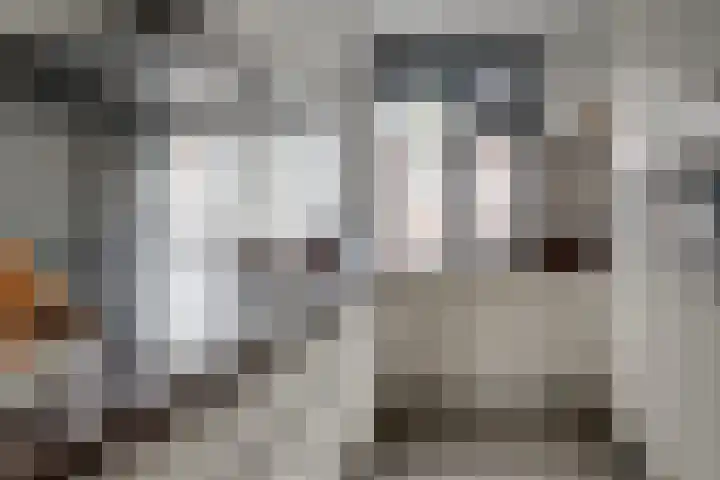 Meidoornlaan 4 Duiven thumbnail 18