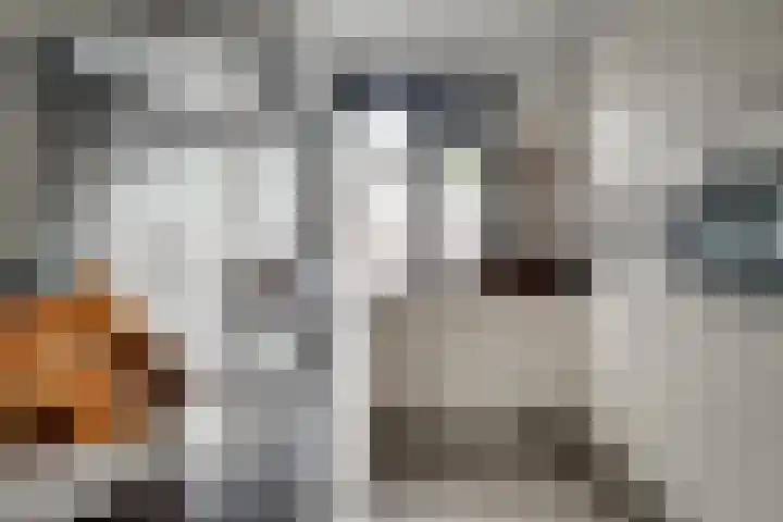 Meidoornlaan 4 Duiven thumbnail 19