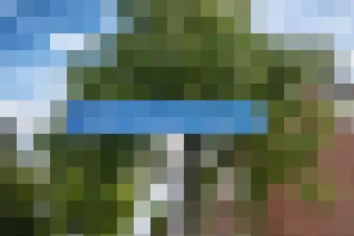 Meidoornlaan 4 Duiven foto 2
