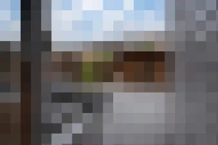 Meidoornlaan 4 Duiven thumbnail 24