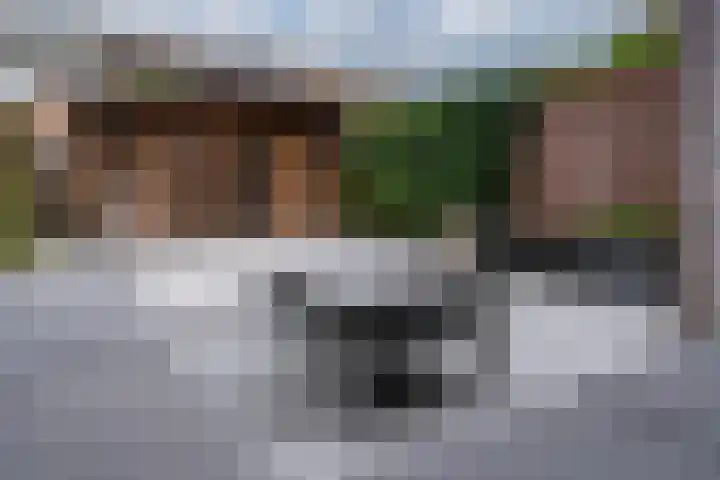 Meidoornlaan 4 Duiven thumbnail 25