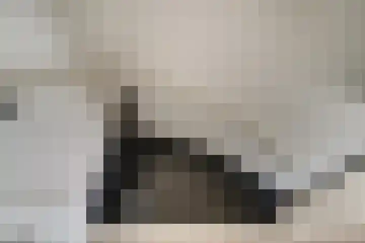 Meidoornlaan 4 Duiven thumbnail 29