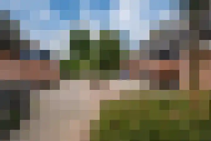 Meidoornlaan 4 Duiven foto 3