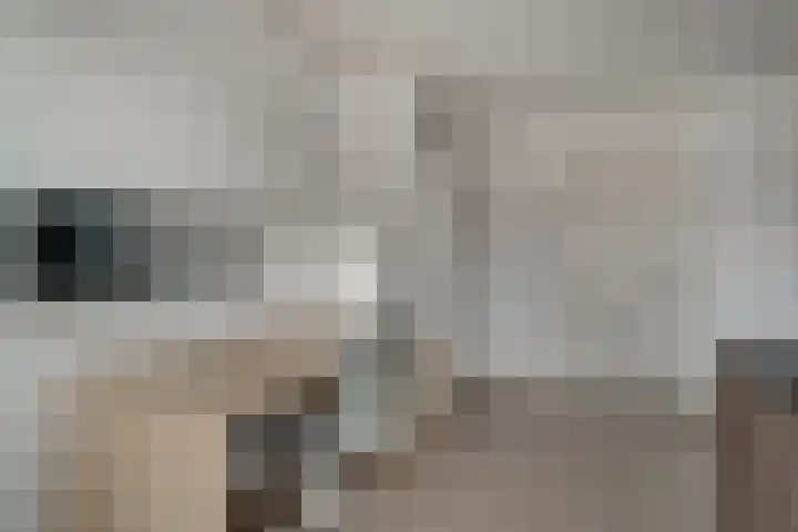 Meidoornlaan 4 Duiven thumbnail 33