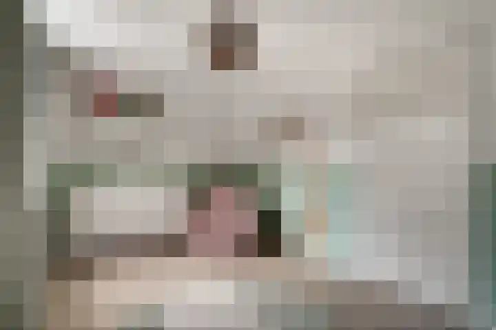Meidoornlaan 4 Duiven thumbnail 37