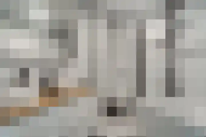 Meidoornlaan 4 Duiven thumbnail 39