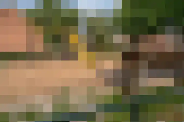 Meidoornlaan 4 Duiven thumbnail 4