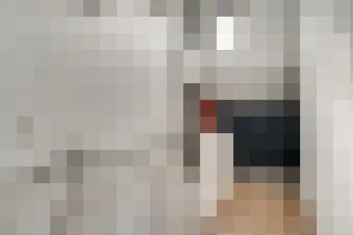 Meidoornlaan 4 Duiven thumbnail 42