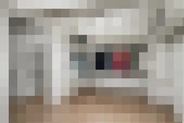 Meidoornlaan 4 Duiven thumbnail 43