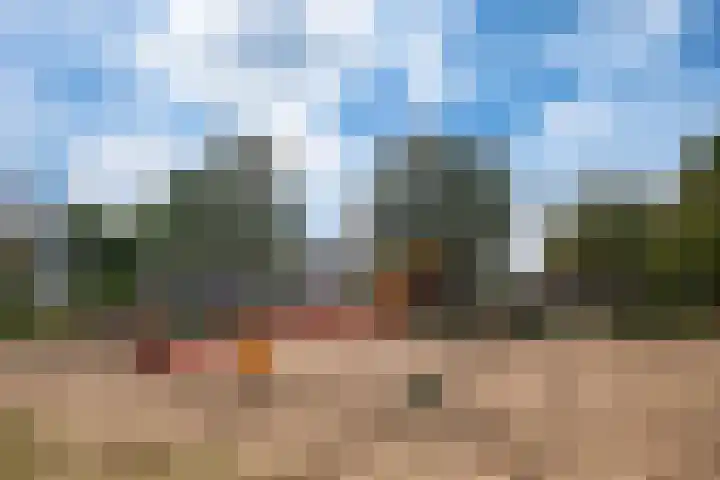 Meidoornlaan 4 Duiven thumbnail 48