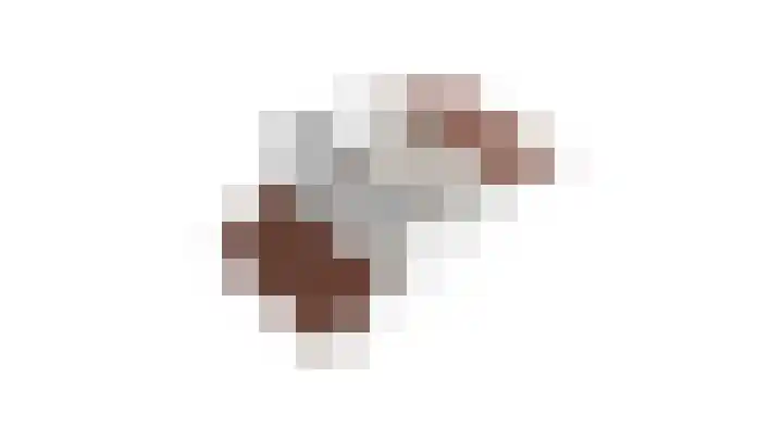 Meidoornlaan 4 Duiven thumbnail 57