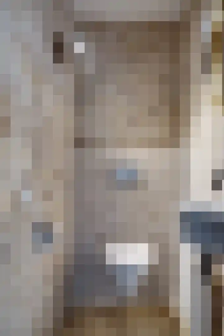 Meidoornlaan 4 Duiven thumbnail 7