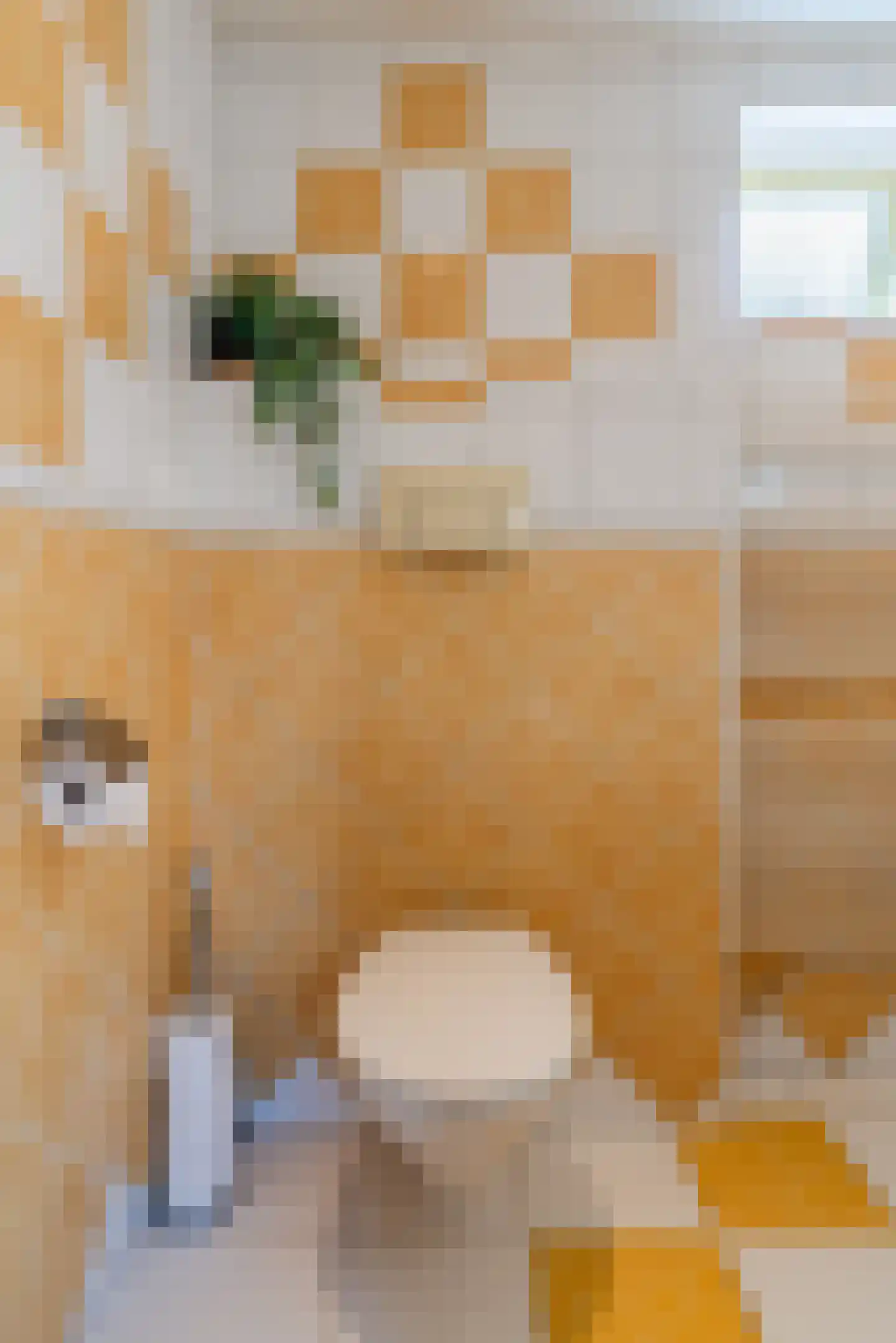 Meidoornlaan 4 Heerde thumbnail 13