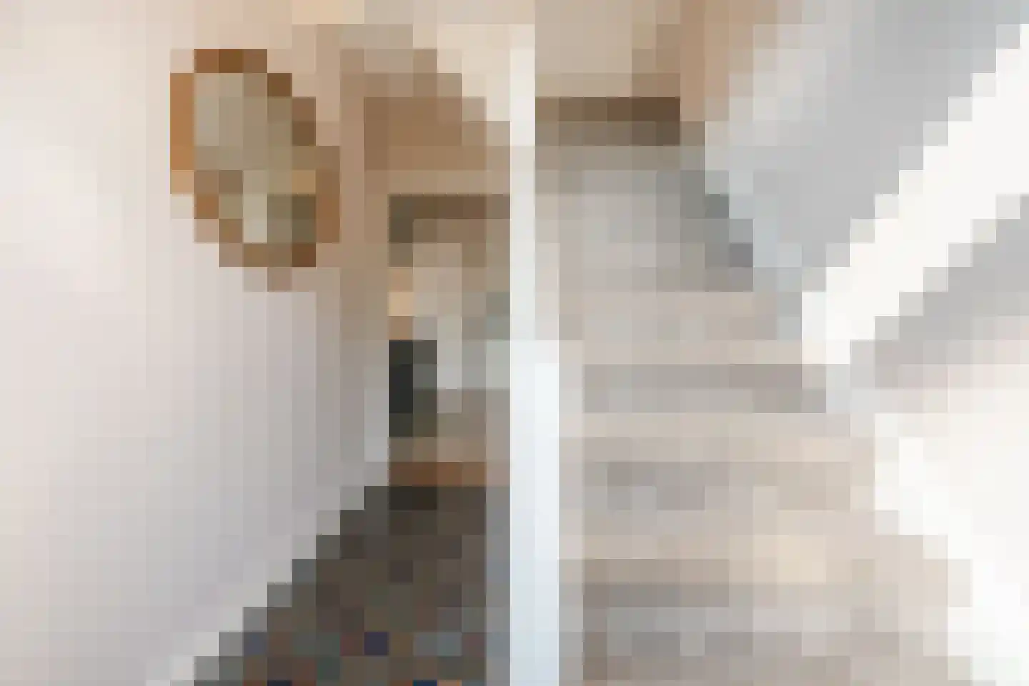 Meidoornlaan 4 Heerde thumbnail 15