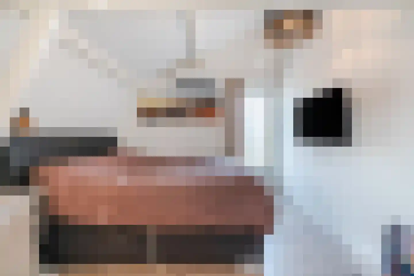 Meidoornlaan 4 Heerde thumbnail 16