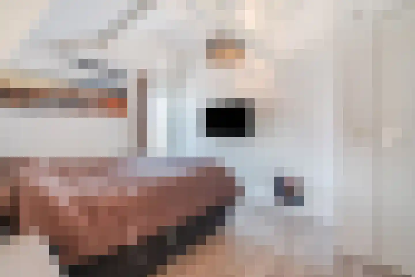Meidoornlaan 4 Heerde thumbnail 18