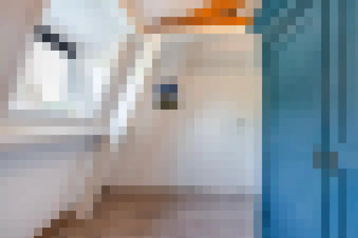 Meidoornlaan 4 Heerde thumbnail 24