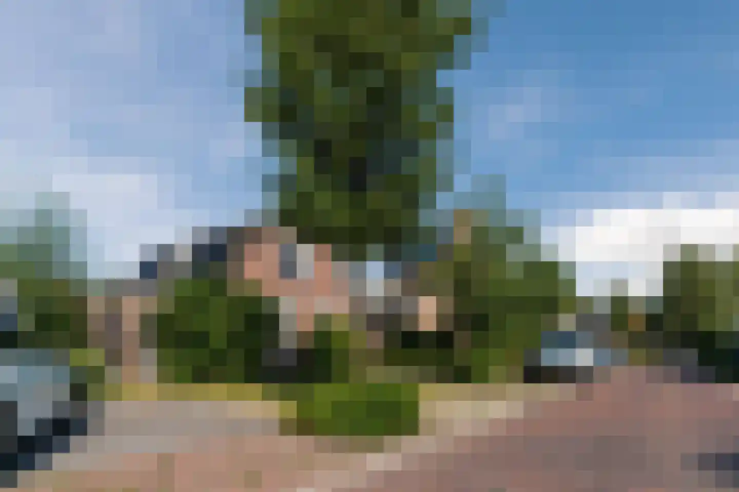 Meidoornlaan 4 Heerde thumbnail 37