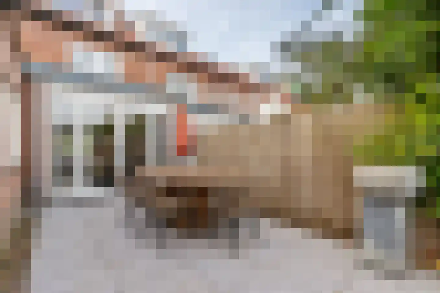 Meidoornlaan 4 Loosdrecht thumbnail 40