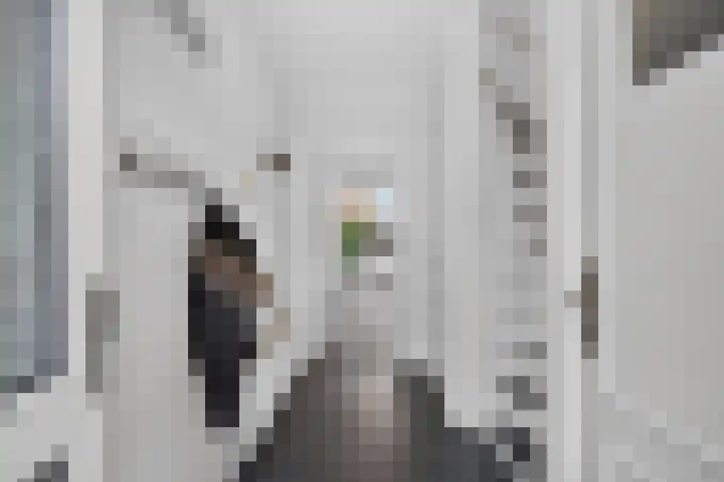 Meidoornlaan 4 Made thumbnail 10