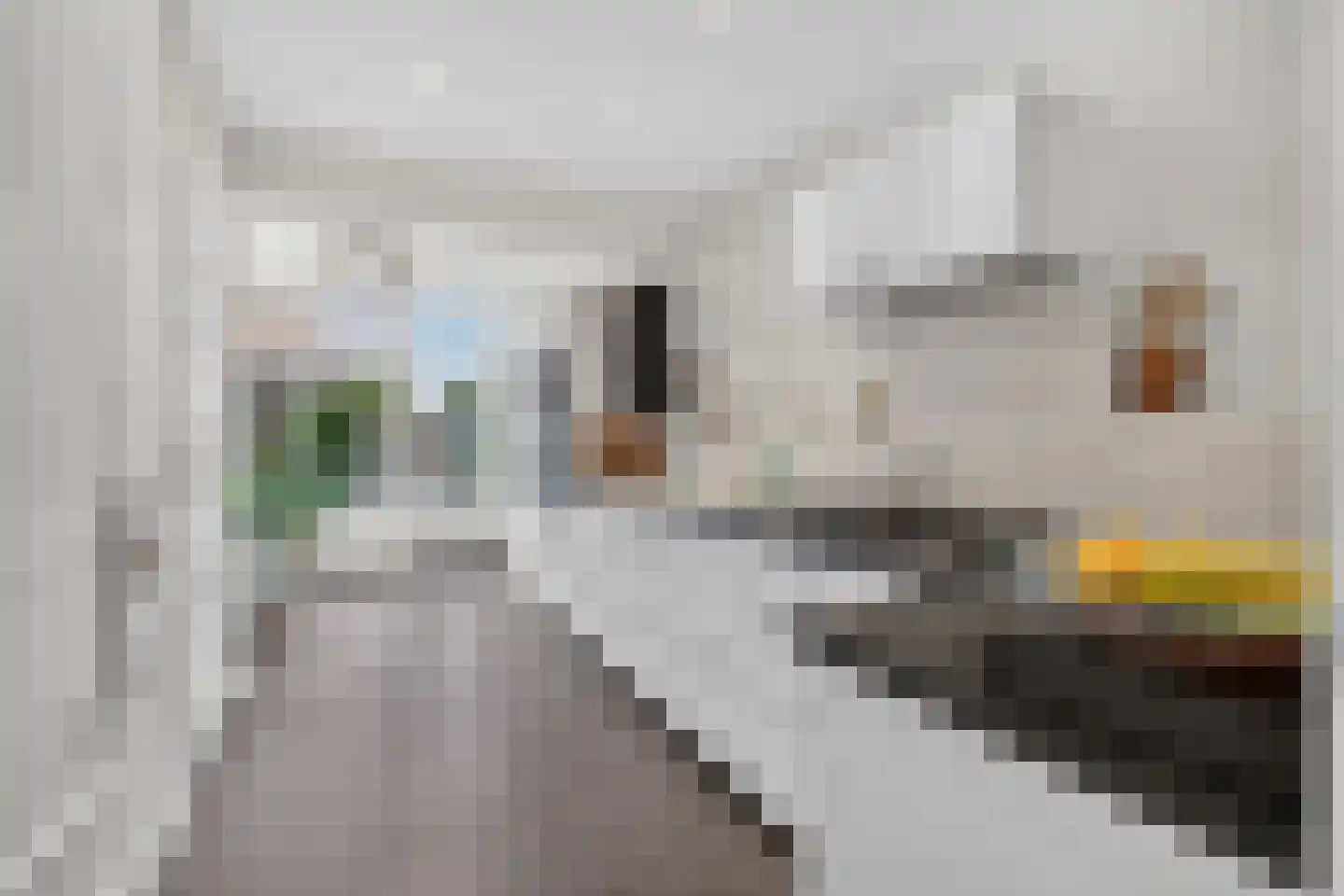 Meidoornlaan 4 Made thumbnail 13