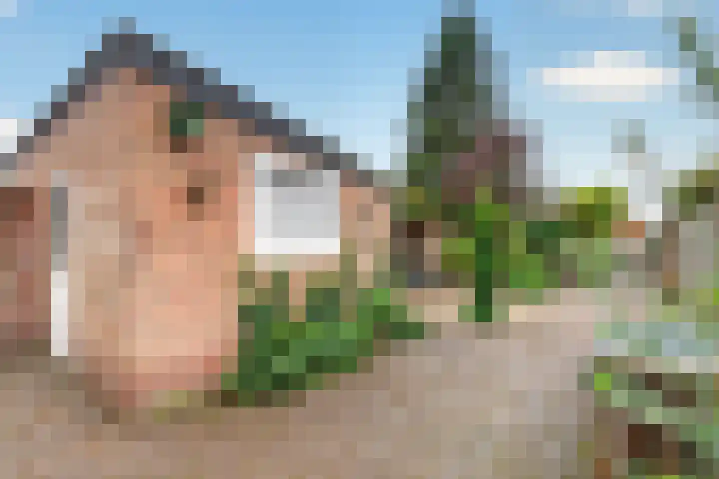 Meidoornlaan 4 Made thumbnail 4