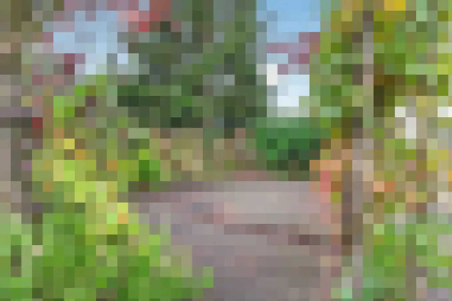 Meidoornlaan 4 Made thumbnail 49